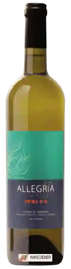 Weingut Allegria - Tribu d'A Blanc