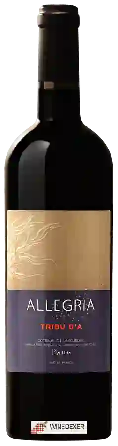 Weingut Allegria - Tribu d'A Rouge