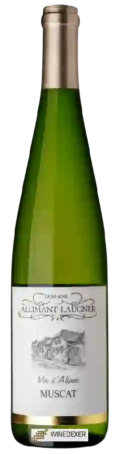 Weingut Allimant-Laugner - Muscat Weingut Allimant-Laugner - Muscat