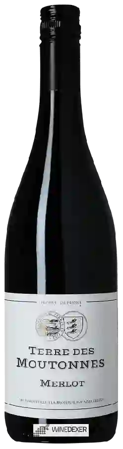 Weingut Alma Cersius - Terre des Moutonnes Merlot Weingut Alma Cersius - Terre des Moutonnes Merlot