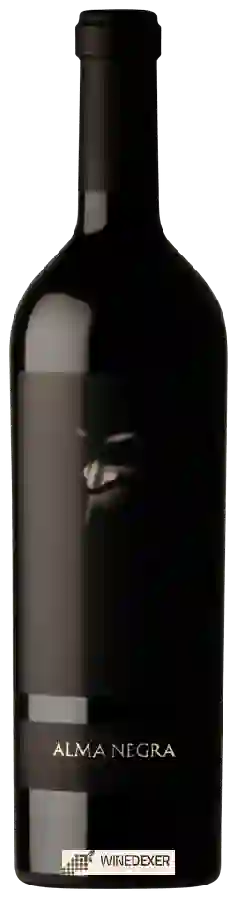 Weingut Alma Negra - Gran Misterio Weingut Alma Negra - Gran Misterio