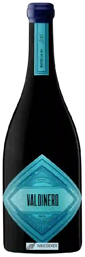 Weingut Alonso & Pedrajo - Reserva Valdinero Weingut Alonso & Pedrajo - Reserva Valdinero