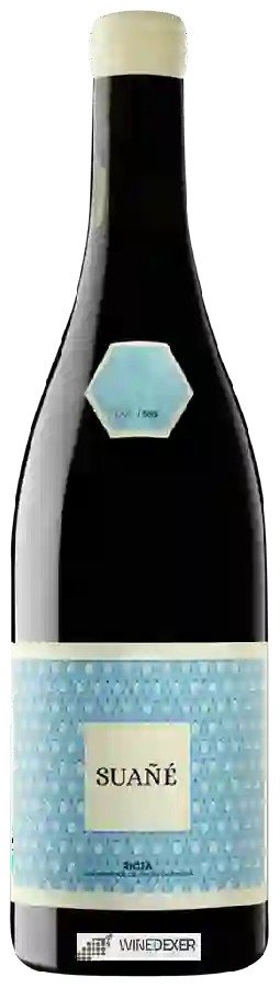 Weingut Alonso & Pedrajo - Suañé Tinto
