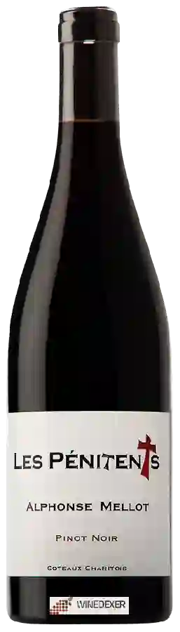 Weingut Alphonse Mellot - Les Pénitents Coteaux Charitois Pinot Noir