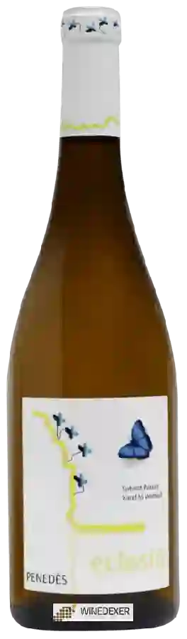 Weingut Alsina & Sarda - Eclosió Weingut Alsina & Sarda - Eclosió