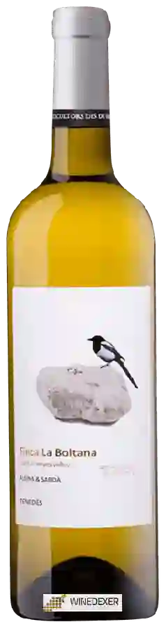 Weingut Alsina & Sarda - Finca La Boltana Weingut Alsina & Sarda - Finca La Boltana