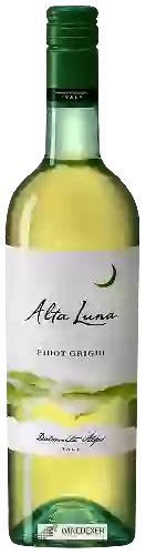 Weingut Alta Luna - Pinot Grigio