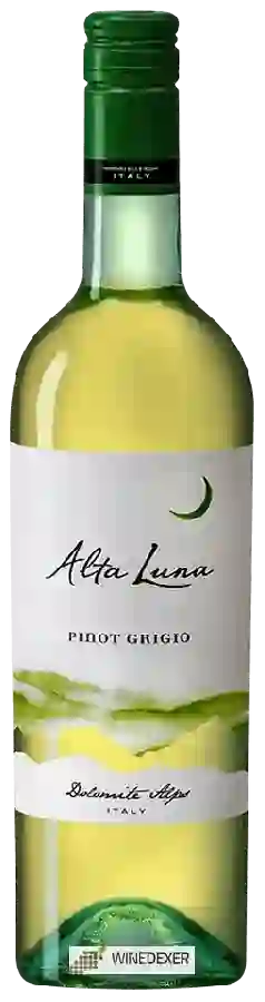 Weingut Alta Luna - Pinot Grigio