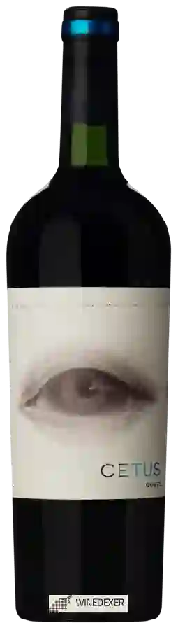 Weingut Alto de la Ballena - Cetus Cuvée Weingut Alto de la Ballena - Cetus Cuvée