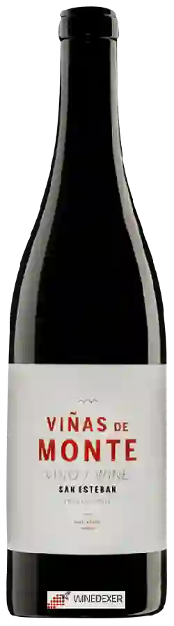 Weingut Altos de San Esteban - Viñas de Monte Weingut Altos de San Esteban - Viñas de Monte