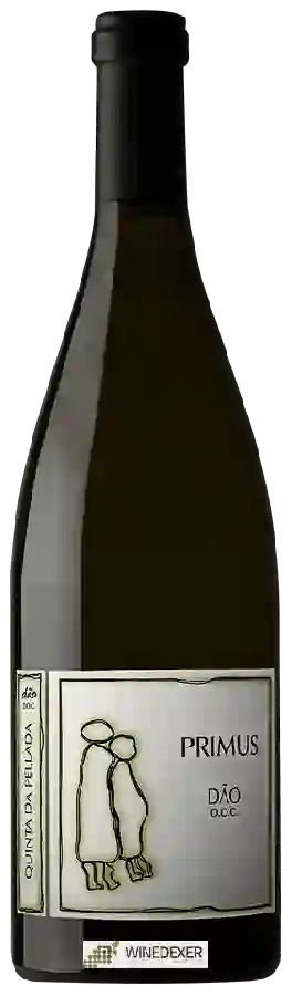 Weingut Quinta da Pellada - Primus Weingut Quinta da Pellada - Primus