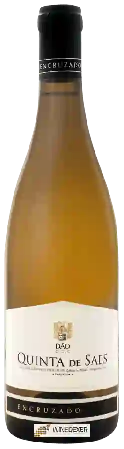 Weingut Quinta da Pellada - Quinta de Saes Encruzado Weingut Quinta da Pellada - Quinta de Saes Encruzado