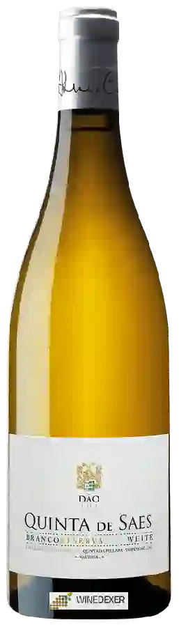 Weingut Quinta da Pellada - Quinta de Saes Reserva Branco Weingut Quinta da Pellada - Quinta de Saes Reserva Branco