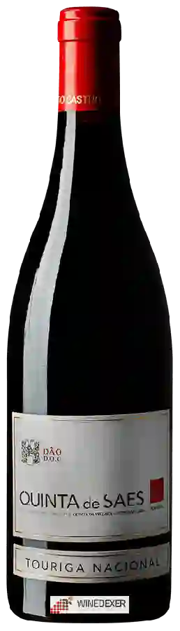 Weingut Quinta da Pellada - Quinta de Saes Touriga Nacional