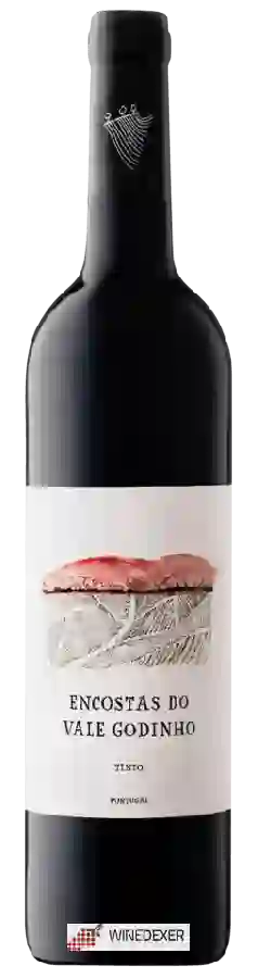 Weingut Alveirão - Encostas do Vale Godinho Weingut Alveirão - Encostas do Vale Godinho