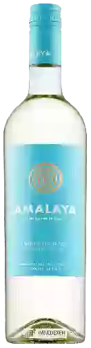 Weingut Amalaya - Blanco Dulce (Riesling - Torrontés)