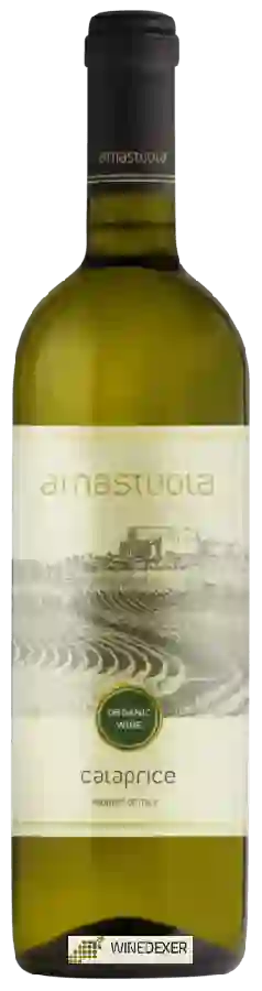 Weingut Amastuola - Calaprice