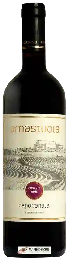 Weingut Amastuola - Capocanale Weingut Amastuola - Capocanale