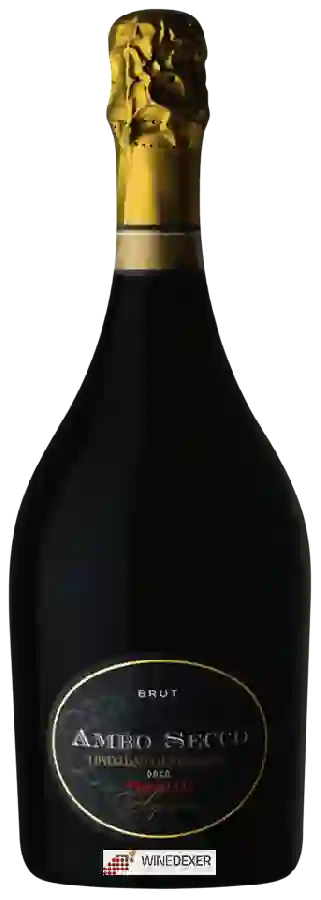 Weingut Ambo - Ambo Secco Conegliano Valdobbiadene Prosecco Superiore Brut