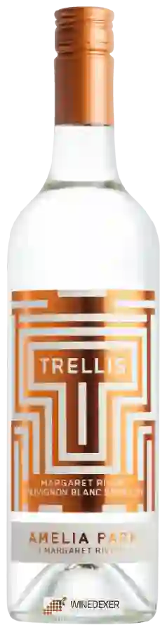 Weingut Amelia Park - Trellis Sauvignon Blanc - Semillon