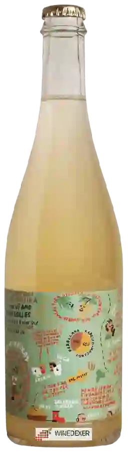 Weingut Amor Per La Terra - El Torrent de la Bruixa Weingut Amor Per La Terra - El Torrent de la Bruixa