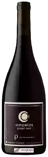 Weingut Ampelos - Rho (The Correlation) Pinot Noir