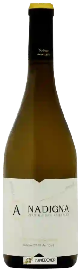 Weingut Anadigna - Albari&ntildeo