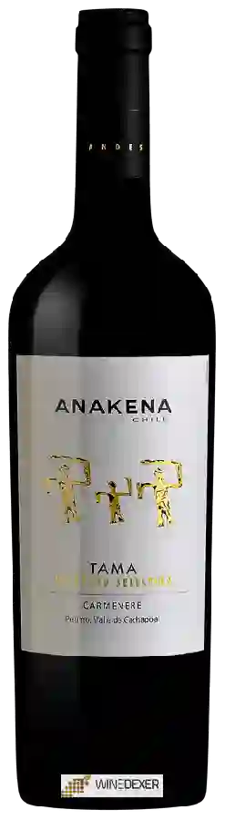 Weingut Anakena - Tama Vineyard Selection Carmenère