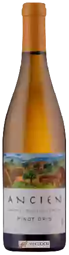 Weingut Ancien - Sangiacomo Vineyard Pinot Gris