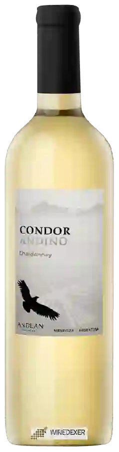 Weingut Andean Vineyards - Condor Andino Chardonnay Weingut Andean Vineyards - Condor Andino Chardonnay