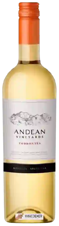 Weingut Andean Vineyards - Torrontés Weingut Andean Vineyards - Torrontés