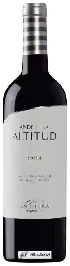 Weingut Andeluna - Altitud Merlot Weingut Andeluna - Altitud Merlot