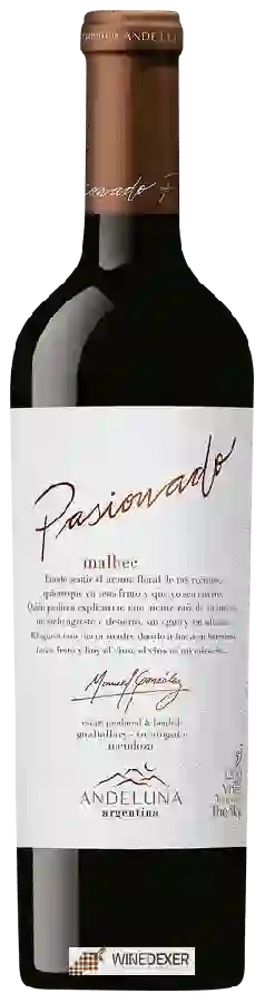 Weingut Andeluna - Pasionado Malbec