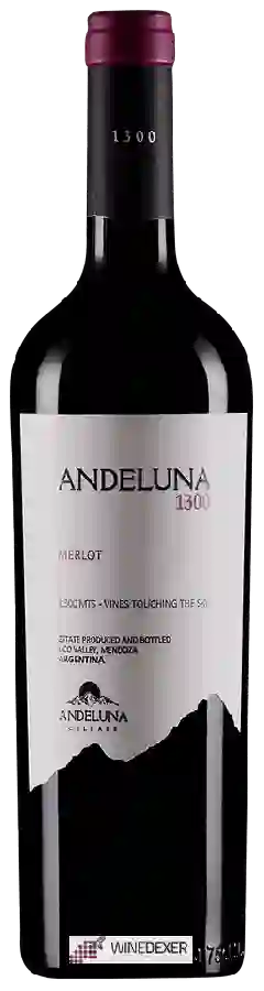 Weingut Andeluna - 1300 Merlot Weingut Andeluna - 1300 Merlot