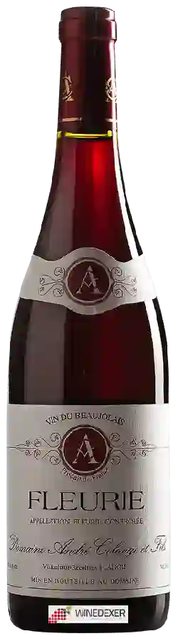 Domaine Andre Colonge et Fils - Les Terres-Dessus - Fleurie Domaine Andre Colonge et Fils - Les Terres-Dessus - Fleurie