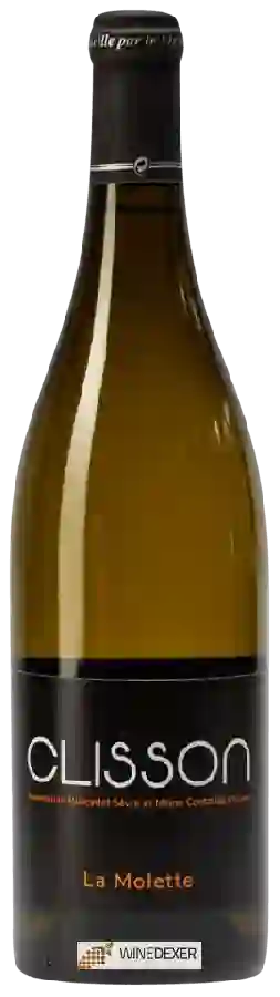 Weingut Domain Brégeon - La Molette Clisson