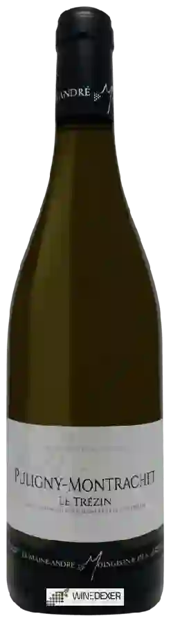 Weingut Andre Moingeon & Fils - Puligny-Montrachet 'Le Trezin'