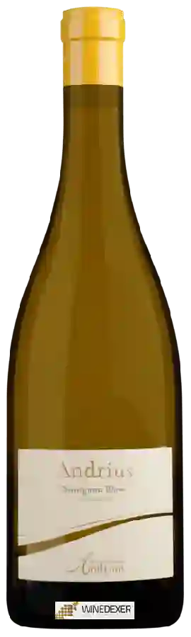 Weingut Andrian - Andrius Sauvignon Blanc