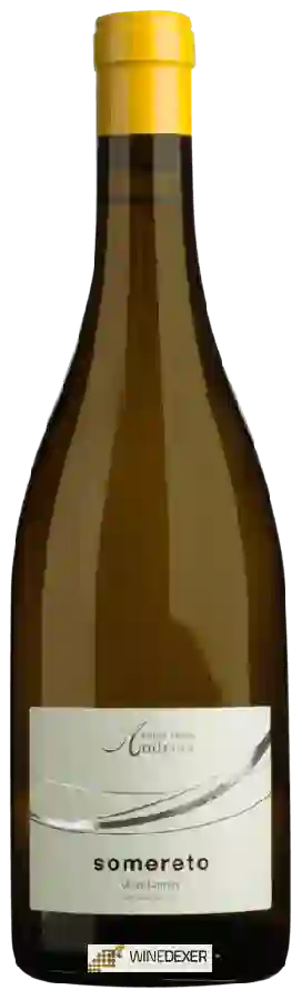 Weingut Andrian - Somereto Chardonnay