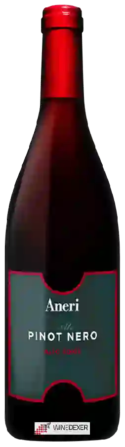 Weingut Aneri - Ale Pinot Nero Alto Adige Weingut Aneri - Ale Pinot Nero Alto Adige