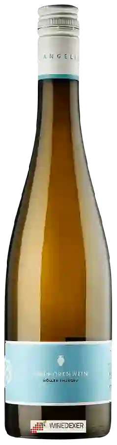 Weingut Angelina Schmücker - Amphorenwein Weingut Angelina Schmücker - Amphorenwein