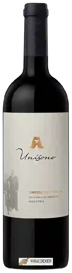 Weingut Angulo Innocenti - Unisono Weingut Angulo Innocenti - Unisono