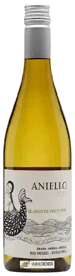 Weingut Aniello - Blanco de Pinot Noir Weingut Aniello - Blanco de Pinot Noir