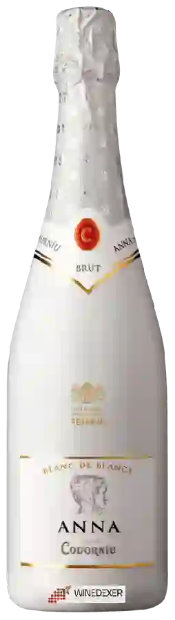 Weingut Anna de Codorniu - Blanc de Blancs Reserva Weingut Anna de Codorniu - Blanc de Blancs Reserva