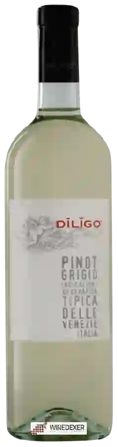 Weingut Anna Spinato - Dīlĭgo Pinot Grigio Weingut Anna Spinato - Dīlĭgo Pinot Grigio