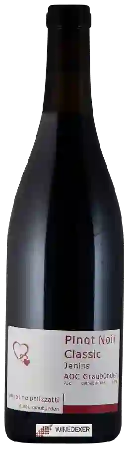 Weingut Annatina Pelizzatti - Jenins Pinot Noir Classic Weingut Annatina Pelizzatti - Jenins Pinot Noir Classic
