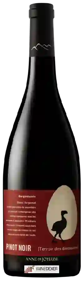 Weingut Anne de Joyeuse - Terroir des Dinosaures Gargantuavis Pinot Noir