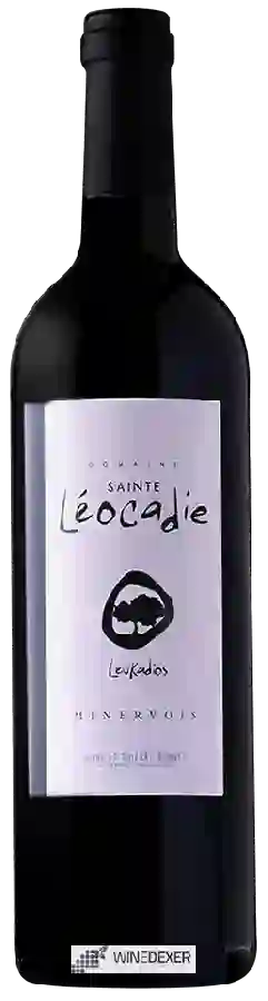 Weingut Anne et Thierry Bonnel - Leukadios Minervois