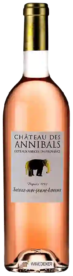 Château des Annibals - Suivez-Moi-Jeune-Homme Coteaux Varois en Provence