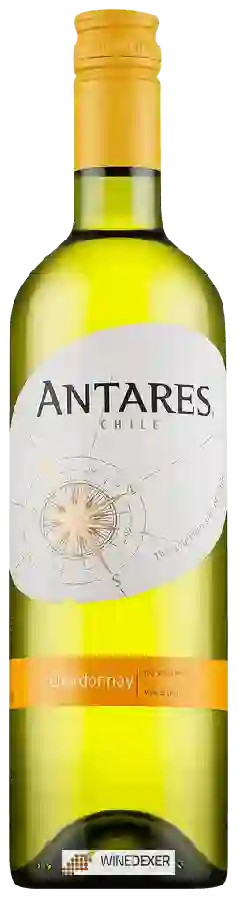 Weingut Antares - Chardonnay Weingut Antares - Chardonnay